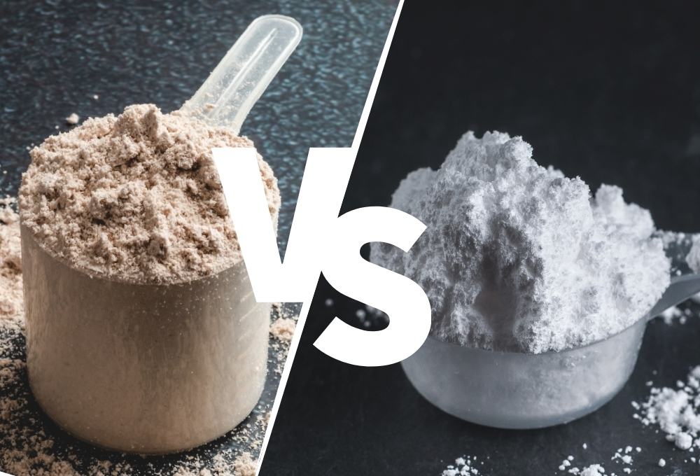 protein vs kreatin